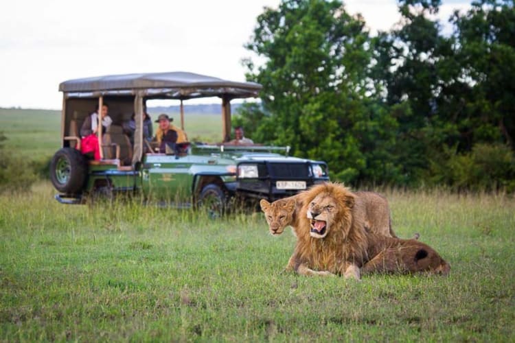 Game drive